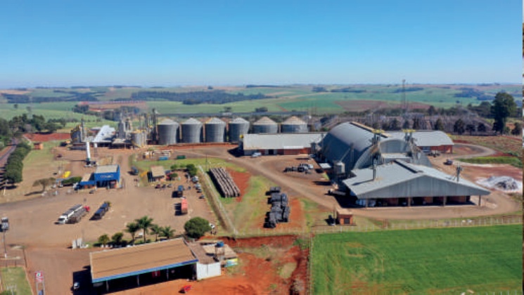 Vis&atilde;o a&eacute;rea da unidade de sementes da Coamo