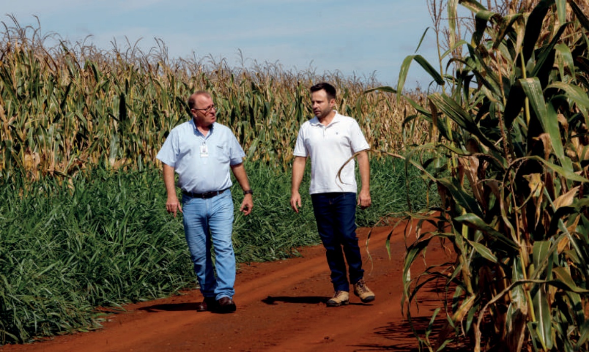 Cooperado, Felipe Bissacotti Brand&atilde;o, com o gerente da Coamo em Rio Brilhante (MS), Geraldo Biazim