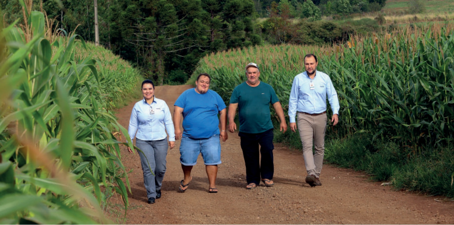 Karina Cristiane Demogalski, engenheira agr&ocirc;noma, Luiz Fernando e Adir Spada, cooperados, e Franklin Bilibio, coordenador da Coamo em Ipua&ccedil;u (SC), caminhando em uma estrada de terra ao lado de uma planta&ccedil;&atilde;o de milho.