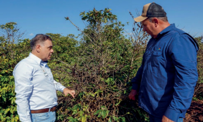 Engenheiro agr&ocirc;nomo, Waltemberg Machado de Lima, com o cooperado Edson Fernandes Canhi&ccedil;ares em meio a uma planta&ccedil;&atilde;o de caf&eacute;.