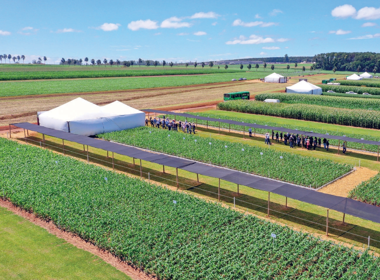 Vista a&eacute;rea das esta&ccedil;&otilde;es t&eacute;cnicas e campos demonstrativos do Encontro de Ver&atilde;o na Fazenda Experimental da Coamo