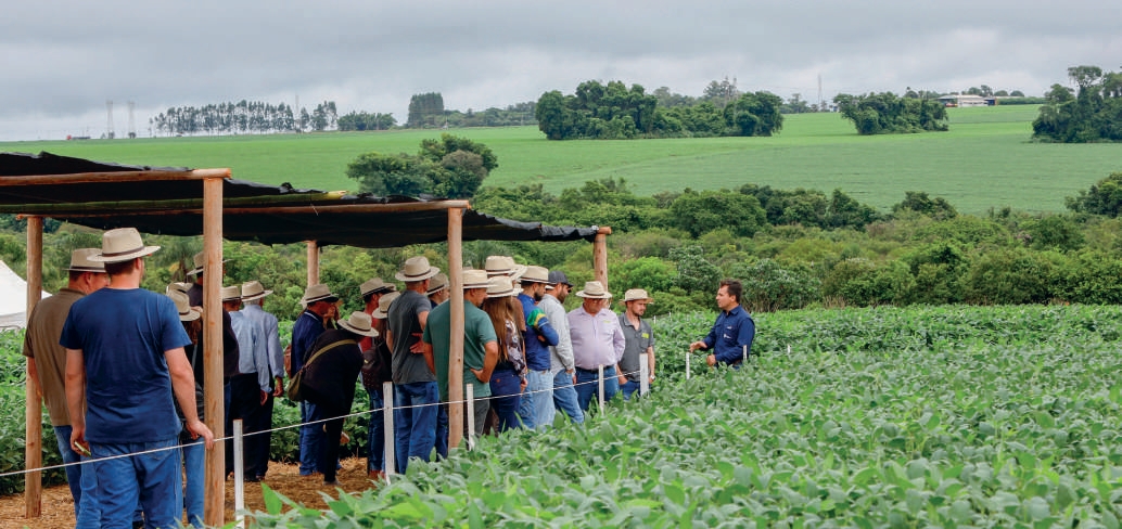 Grupo de cooperados na esta&ccedil;&atilde;o de manejo de doen&ccedil;as
