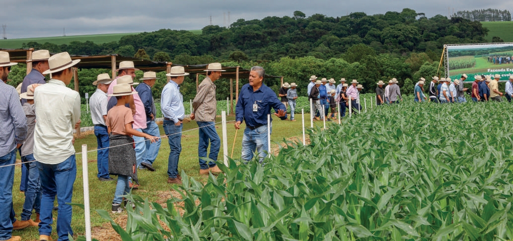 Esta&ccedil;&atilde;o sobre manejo da lagarta-do-cartucho no milho