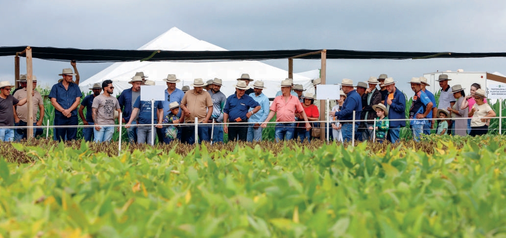 Grupo de cooperados e t&eacute;cnicos reunidos na lavoura durante dia de campo