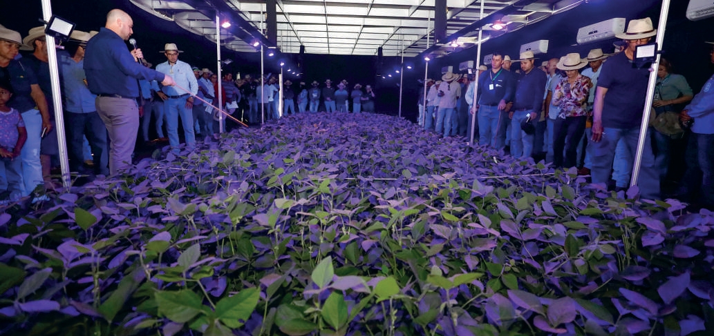 Demonstra&ccedil;&atilde;o de aplica&ccedil;&atilde;o de defensivos com ilumina&ccedil;&atilde;o especial em lavoura