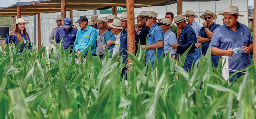 Equipe t&eacute;cnica e cooperados em dia de campo sobre manejo de lagartas
