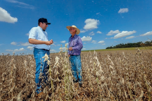 Marcos Joel Marcolin conversando com o cooperado Anten&oacute;rio Possamai na lavoura