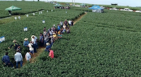Evento em Ivaipor&atilde;