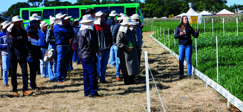 Participantes do encontro de inverno em uma lavoura experimental.