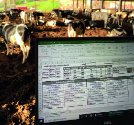 Tela de computador exibindo uma planilha com dados e gr&aacute;ficos, com gado ao fundo.