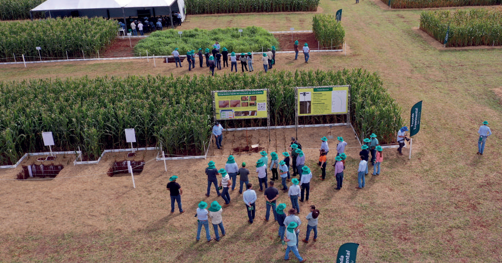 Vista a&eacute;rea dos experimentos na Fazenda Experimental