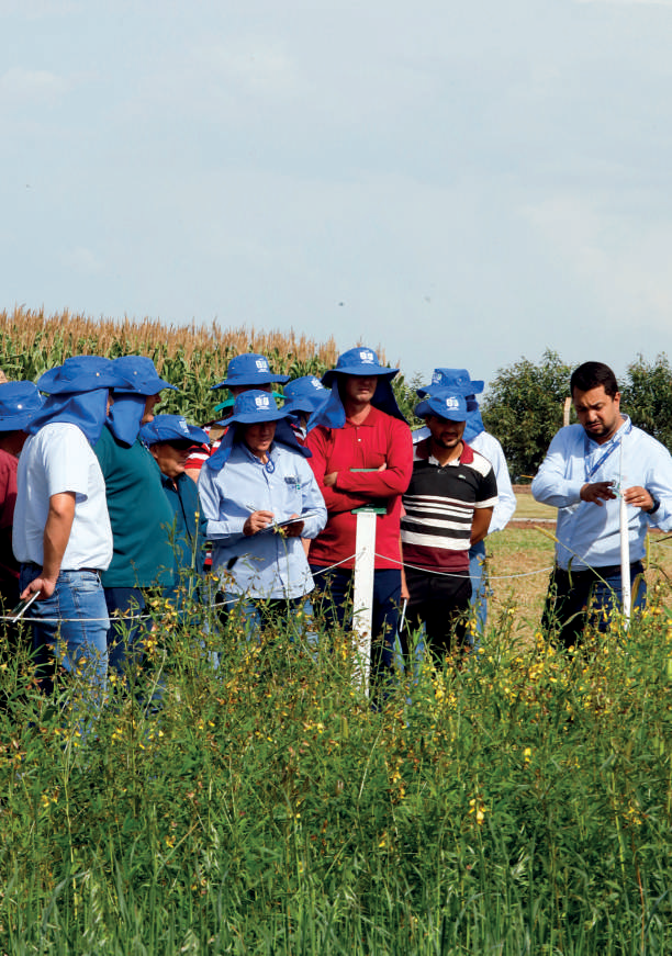 T&eacute;cnicos analisando nematoides no campo