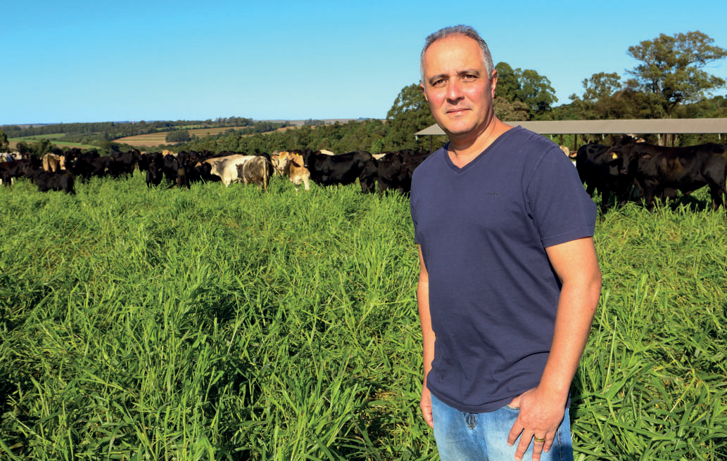 Cooperado, M&aacute;rcio Fabiano Likes Pereira, de Campo Mour&atilde;o, utiliza o sistema de integra&ccedil;&atilde;o lavoura-pecu&aacute;ria h&aacute; mais de 15 anos