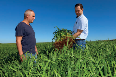 Cooperado e o engenheiro agr&ocirc;nomo, Edenei Swartz, acompanham as ra&iacute;zes no solo