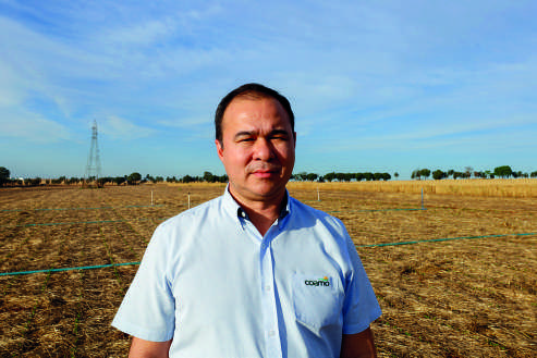 Marcelo Sumiya, gerente de Assist&ecirc;ncia T&eacute;cnica da Coamo
