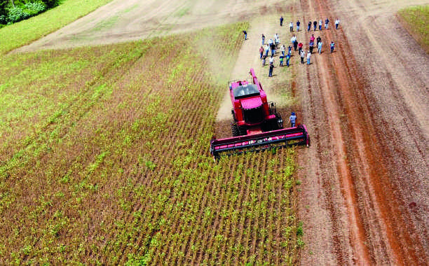 Treinamento em campo de sementes, com colheitadeira em opera&ccedil;&atilde;o.